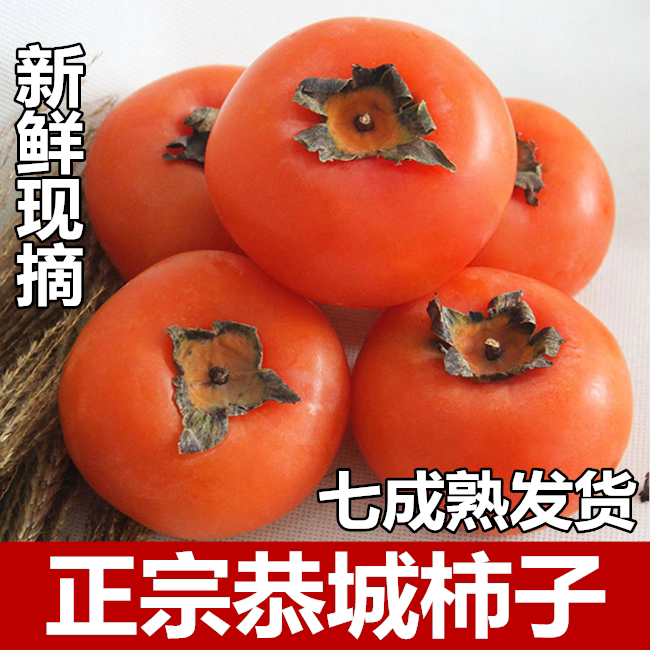 现摘红柿子超甜软柿子新鲜水果甜柿子当季时令火柿子水晶柿黄柿子