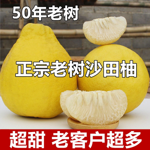 【纯甜】正宗沙田柚白肉柚子广西香柚新鲜应季水果非广东梅州容县