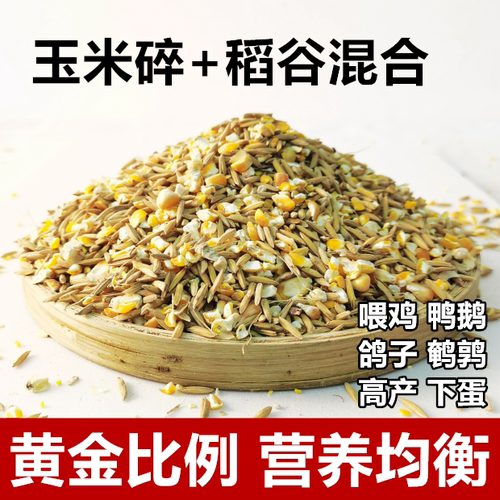 碎玉米粒稻谷混合物喂鸡玉米粉碎渣玉米糁鸡鸭粮食鸽子粮兔猪仓鼠