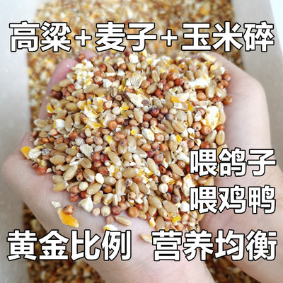 高梁麦子玉米碎混合喂鸽子喂鸡鹌鹑红高梁营养鸽粮保健砂斑点鸠粮