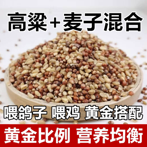 高粱小麦子混合喂鸽子喂鸡鹌鹑渣糁红高梁营养鸽粮食保健砂观赏鸽