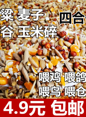 高粱麦子稻谷玉米碎混合喂鸡喂鸟喂鸽子五谷杂粮高梁鸽粮食保健砂