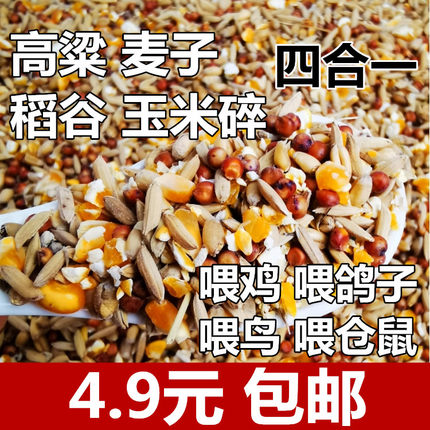 高粱麦子稻谷玉米碎混合喂鸡喂鸟喂鸽子五谷杂粮高梁鸽粮食保健砂