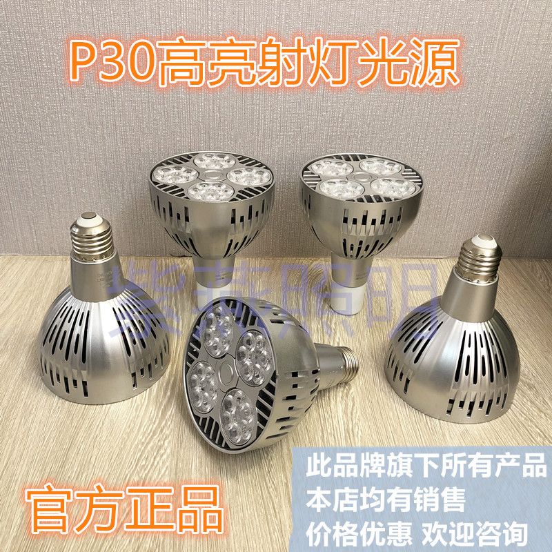 LED射灯无频闪光源品士节能220V