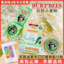 美国伯特Burt