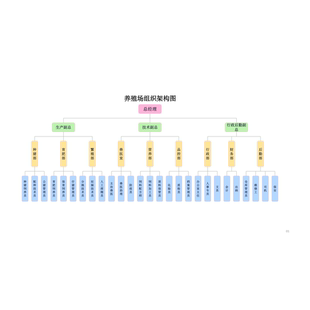养殖场 养猪场组织架构图 养鸡机构图  ai ppt drawio word ppt