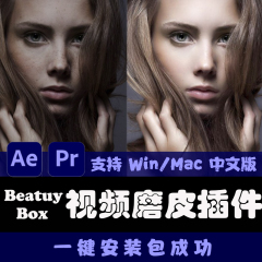 pr ae视频磨皮美容插件beautybox 精致美颜中文win系统版本