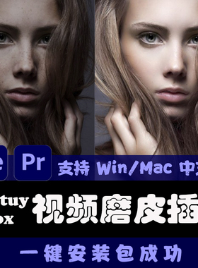 pr ae视频磨皮美容插件beautybox 精致美颜中文win系统版本