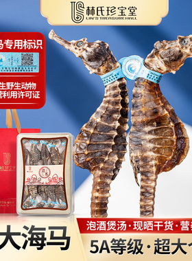 海马一公一母配对干货中炖汤药煲汤泡酒材大个体滋补品中秋送礼盒