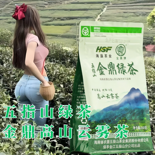 2025年绿茶海南五指山金鼎绿茶茶叶高山云雾茶50g自饮海垦集团