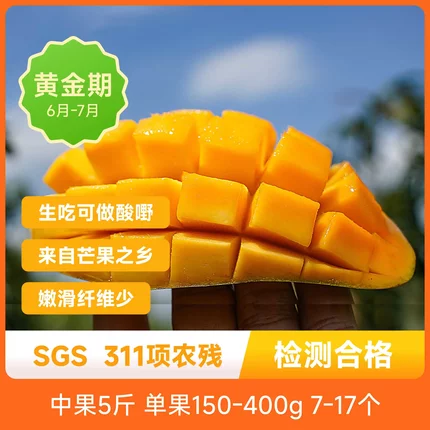 辰颐物语百色金煌芒新鲜应季水果现摘正宗广西大芒果红金龙甜心