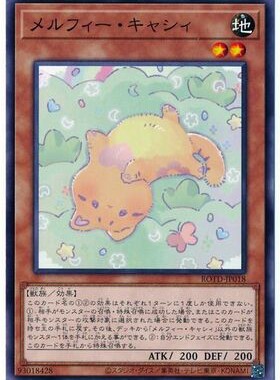 【假面卡牌】游戏王 N 平卡 童话动物·小猫 日版 1101 ROTD