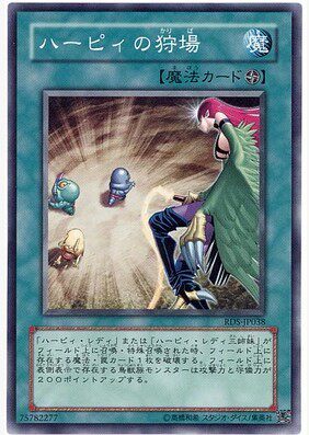 【假面卡牌】游戏王 N平卡 鹰身女妖的狩猎场 DP21 日版