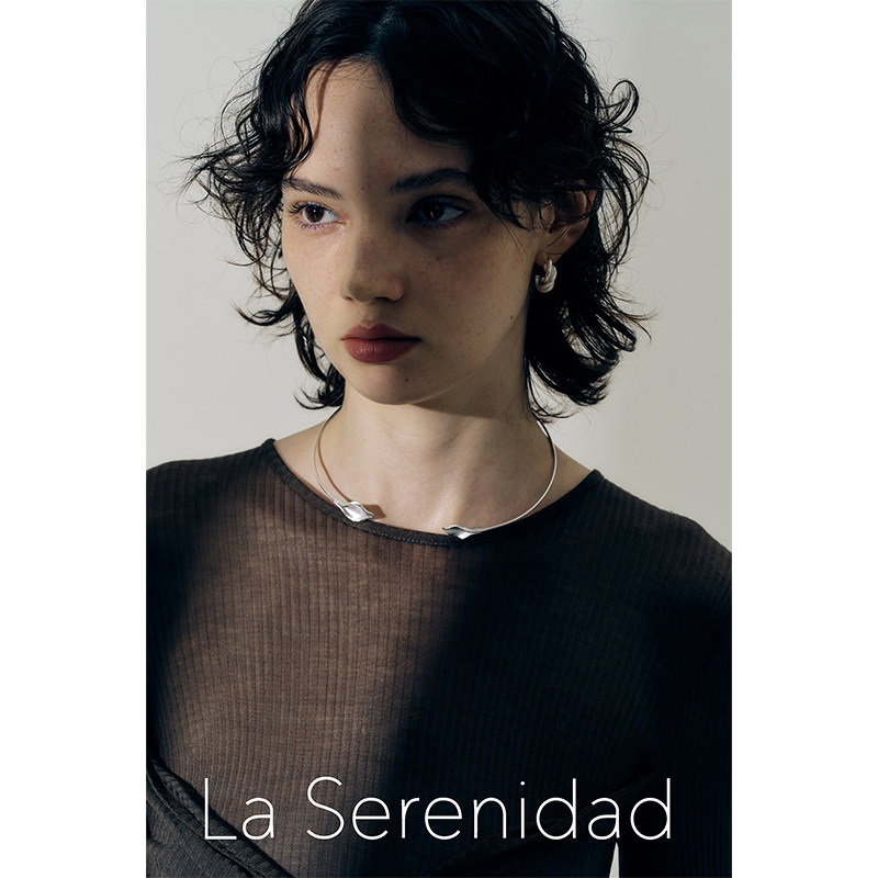 LaSerenidad925银叶片复古项圈图片