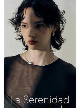 LaSerenidad925银叶片复古项圈