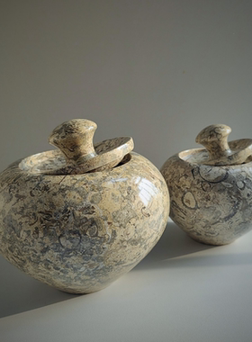 进口珊瑚化石储物罐摆件轻奢复古风玄关桌面装饰品创意家居饰品