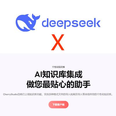 DeepseekAPI远程安装教程文档