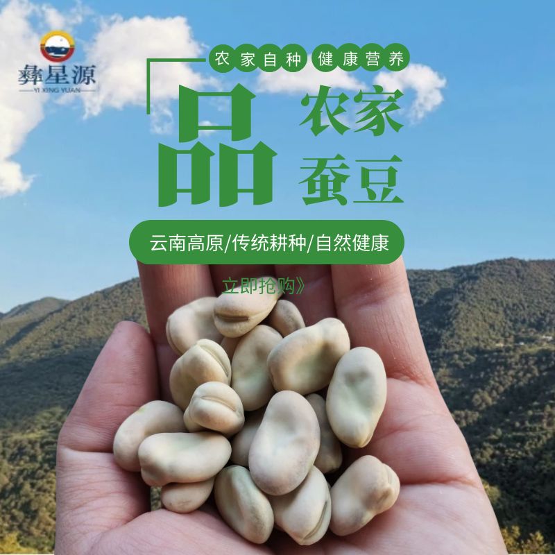 新货蚕豆干的胡豆去壳佛豆南豆生的云南高山农家自种罗汉豆干豆子