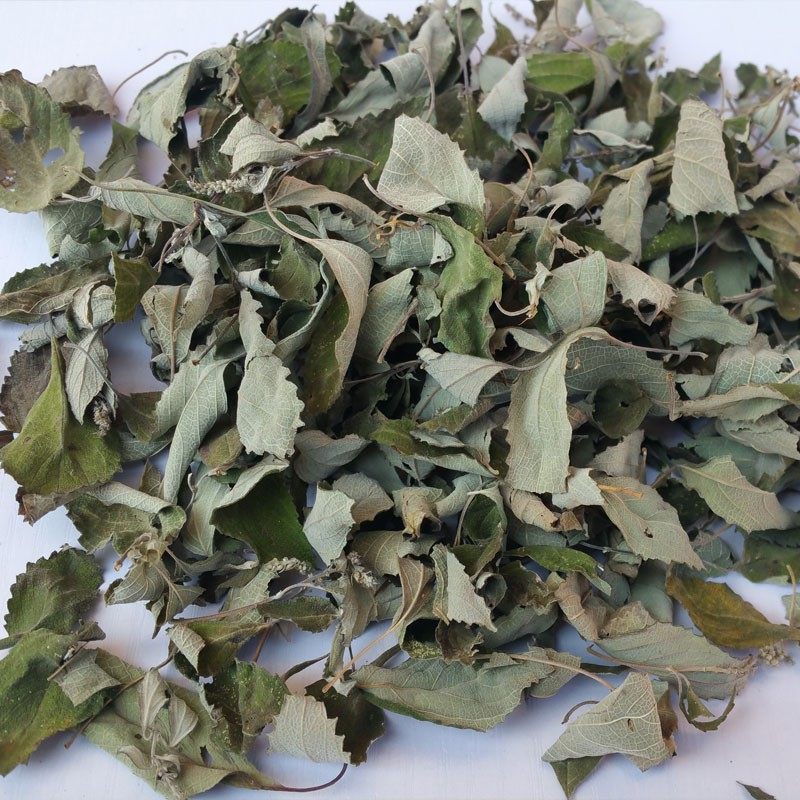 彝星源野坝子茶云南高原特色凉茶