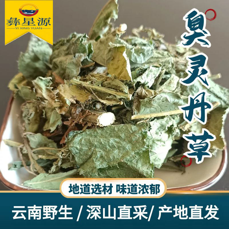 臭灵丹中药名臭灵丹草云南高原深山中药材原生采集晒干阴干无添加