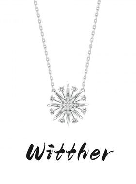 Witther925纯银满钻彗星项链女轻奢小众原创设计八芒星钻石锁骨链