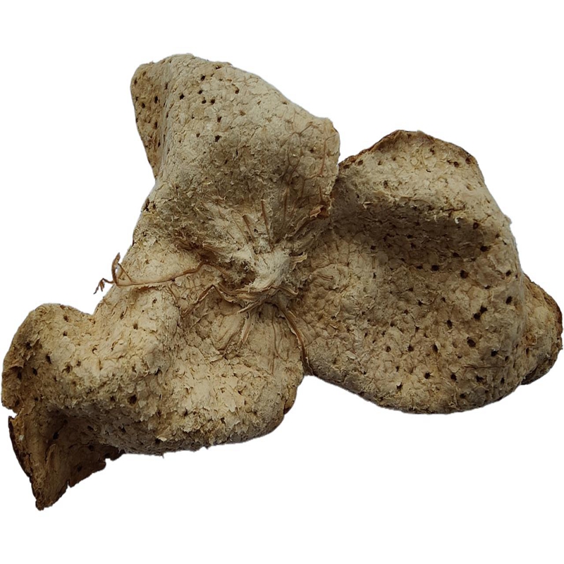 广东省地方特产新鲜500g包邮陈皮