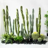 Сумма моделирования Tianwen Fairy Pillar Set Fake Faircy Palm