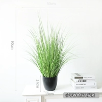 Маленькая весна