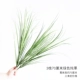 70厘米绿色单枝纯草3枝