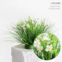 Маленький белый цветочный шарик травы