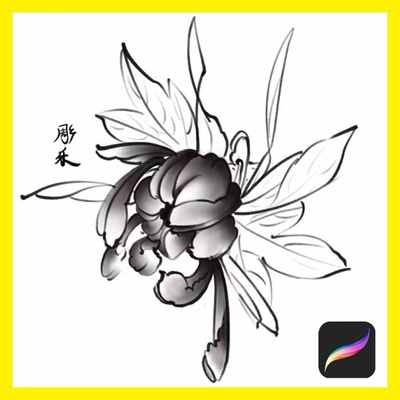 ipad procreate新传统纹身菊花笔刷设计参考绘画软件刺青手稿素材