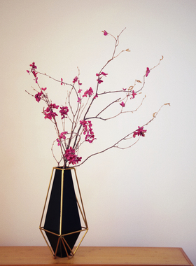 天然树枝紫色梅花几何陶瓷花瓶永生干花干干枝插花客厅玄关卧室
