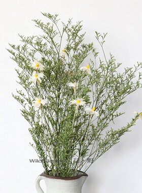 云南干花天然永生ins花瓶摆放