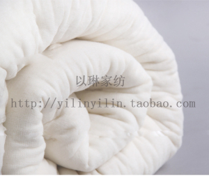丝棉床褥棉垫被/床垫褥子/丝棉絮/有网棉垫 垫被冬用9斤10斤巨厚