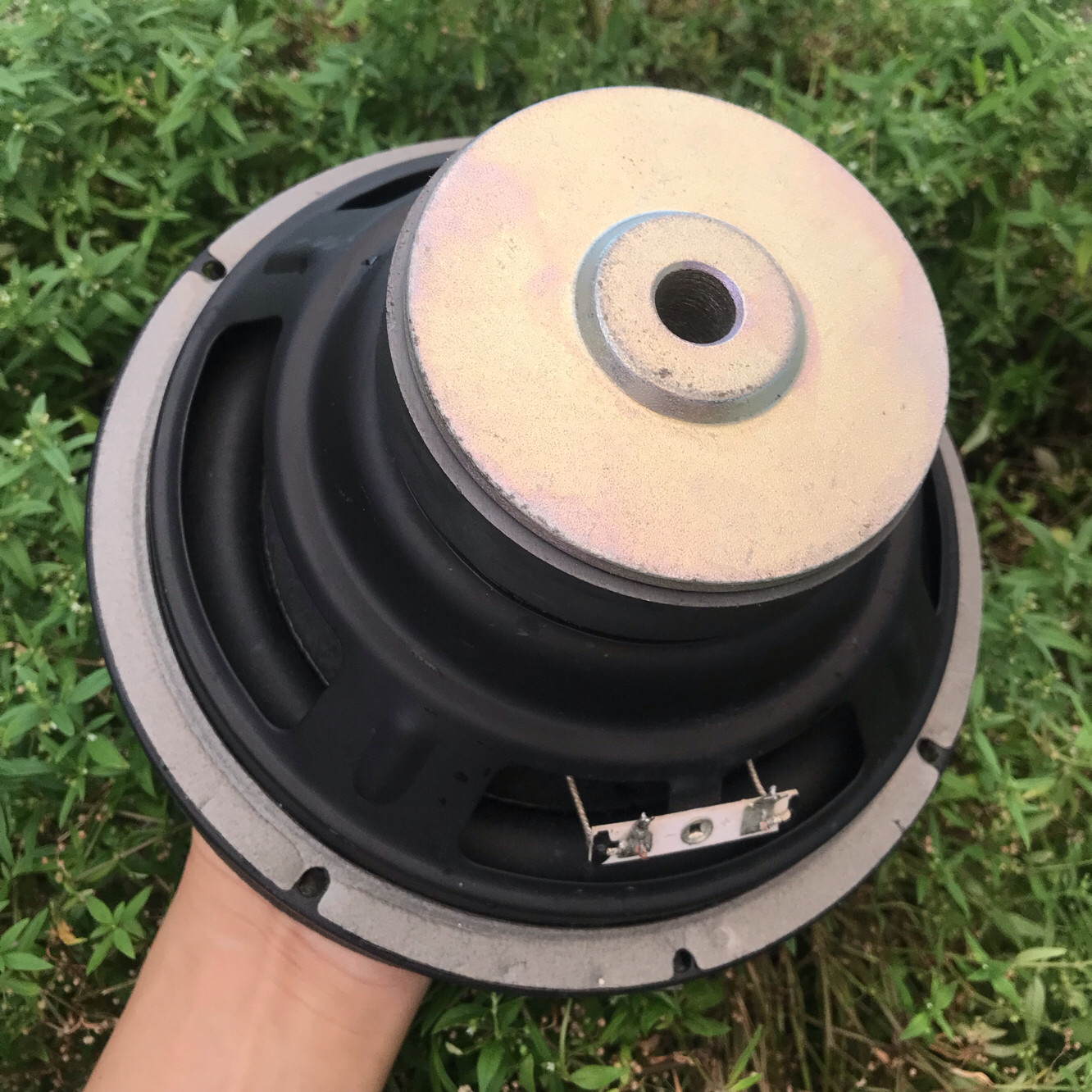 丹麦二手拆机8寸低音喇叭2欧100瓦重低音发烧音响音箱扬声器 一支