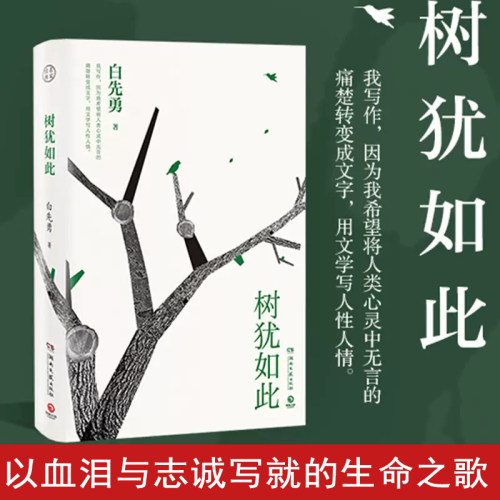 树犹如此白先勇先生散文