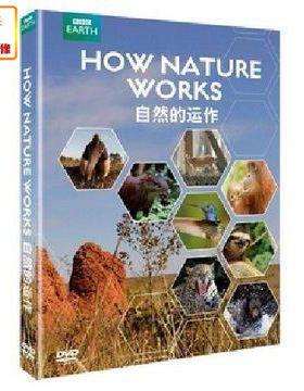 百科音像  BBC经典纪录片 自然的运作 2DVD 海底世界