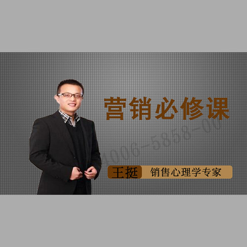 正版包票  王挺 营销必修课 视频课程非DVD