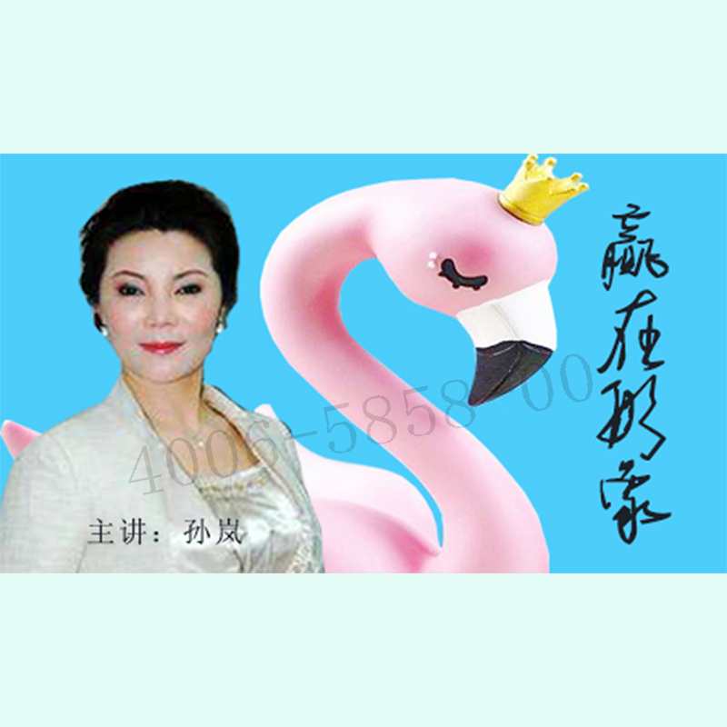 正版包票  孙岚-赢在形象-职场人士的商务礼仪 视频课程非DVD