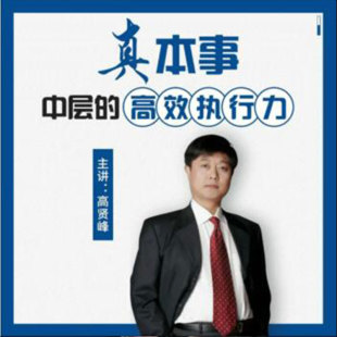 中智 在线网络视频课程非DVD 高效执行力 高贤峰中层