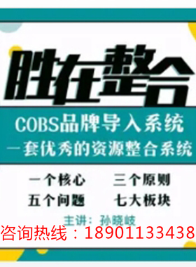 正版包票胜在整合COBS导入系统资源整合孙晓崎网络课程非DVD中4