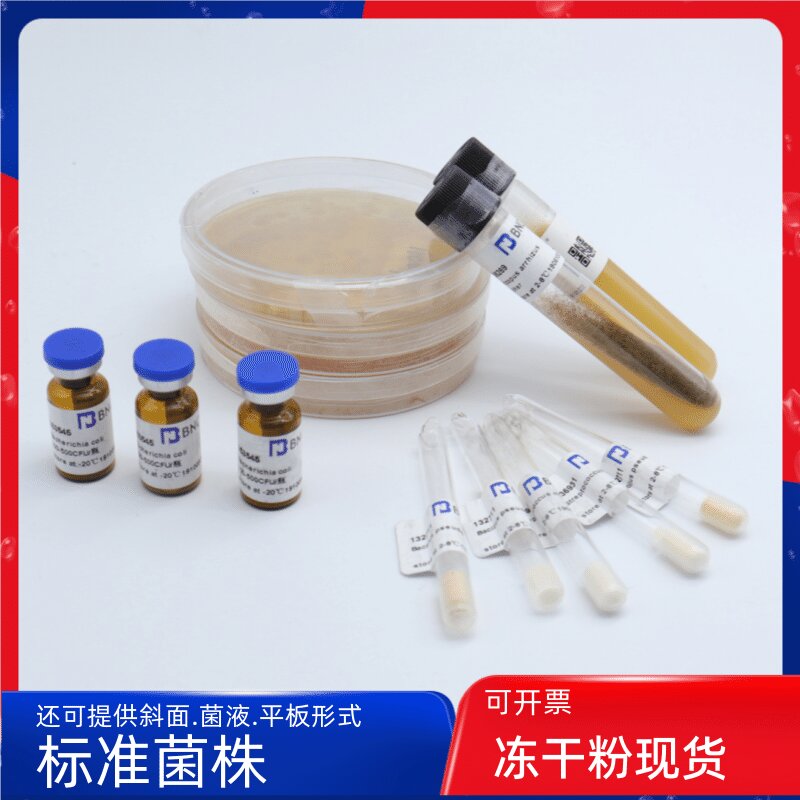 BNCC338320马克斯克鲁维酵母