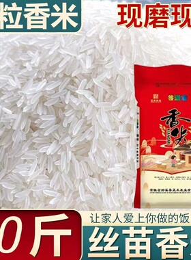 南方大米50斤装批发 长粒香猫牙米 2025年新米25kg整袋广东煲仔饭