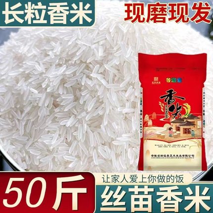 南方大米50斤装批发 长粒香猫牙米 2025年新米25kg整袋广东煲仔饭