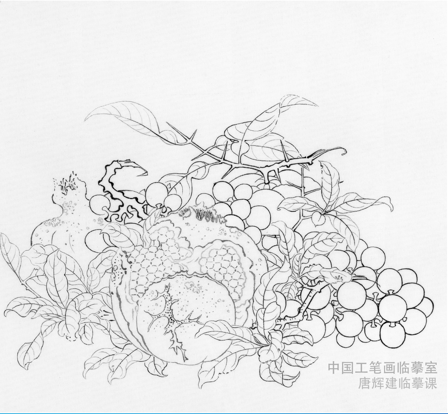 《吉祥多子》临摹课材料包线稿彩稿绢画框颜料明胶买画材送课程