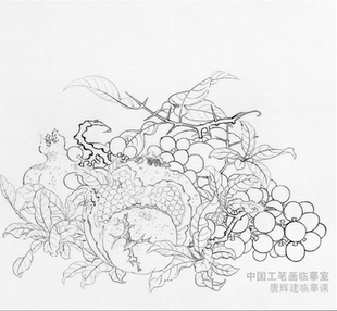 《吉祥多子》临摹课材料包线稿彩稿绢画框颜料明胶买画材送课程