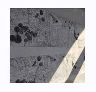 《写生翎毛图》临摹专用微喷白描稿韩国绢高清喷绘彩图26-278.4cm