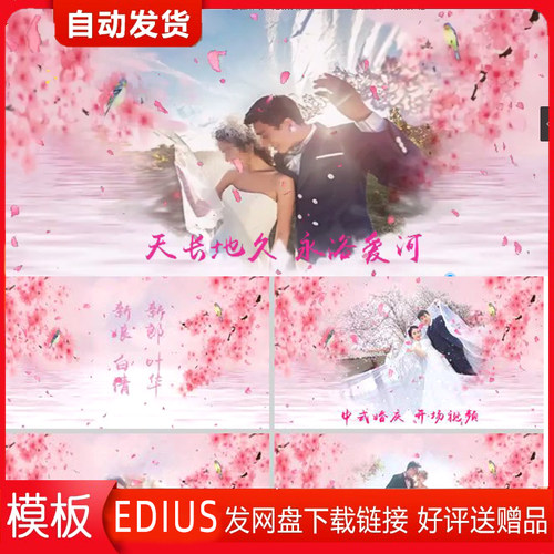 H197中国风ed水墨古典文化文学花瓣汉服人物视频edius模板