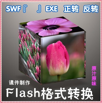 FLASH动画格式转换软件 SWF转EXE EXE转SWF 无损极速 互转工具