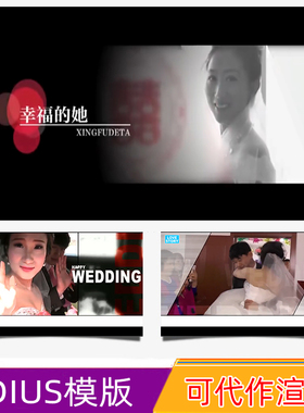 EDIUS678婚礼快剪片头ED婚庆花絮高清模板视频录像制作调色微电影
